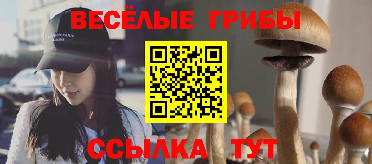 Псилоцибиновые грибы MAGIC MUSHROOMS Борисоглебск